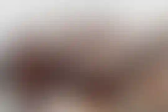 مکتب الزینب