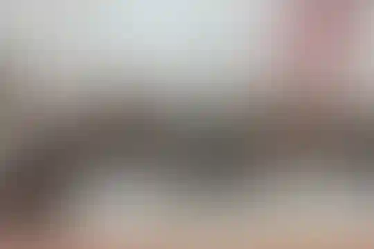 مکتب الزینب