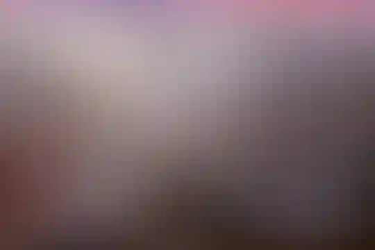 انصار المهدی