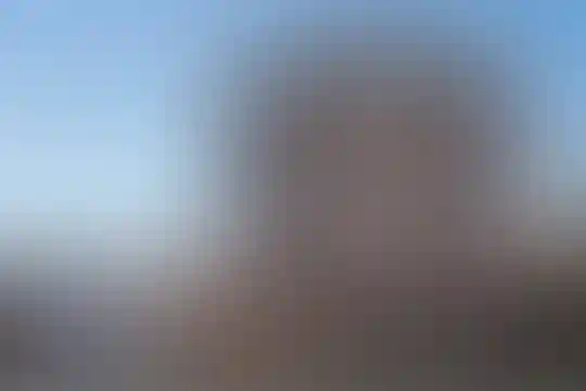 شهید هادی آریایی