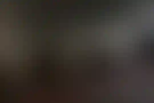 شهید هادی آریایی