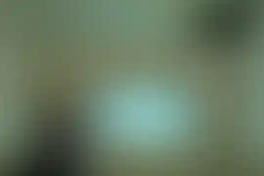 رویش خلاق