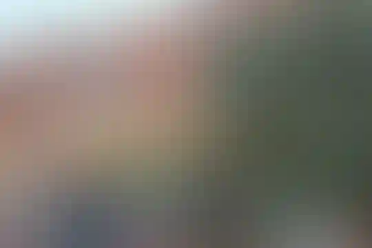ارمغان علم