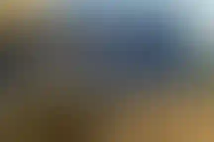 بهاران (ناشنوایان)