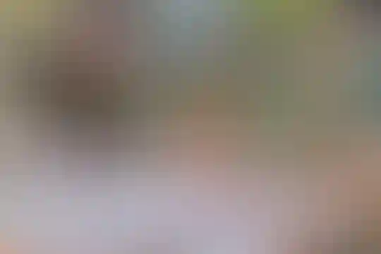 نگین آفرینش