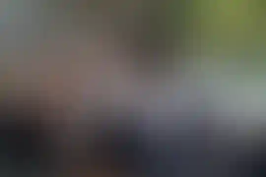 فرجام