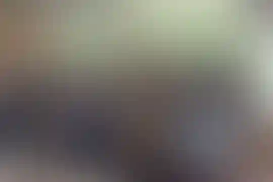 علامه حلی