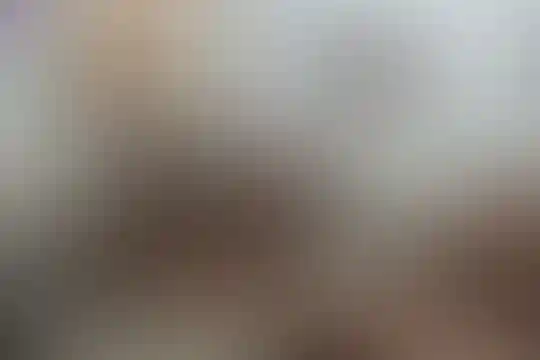 پژوهش