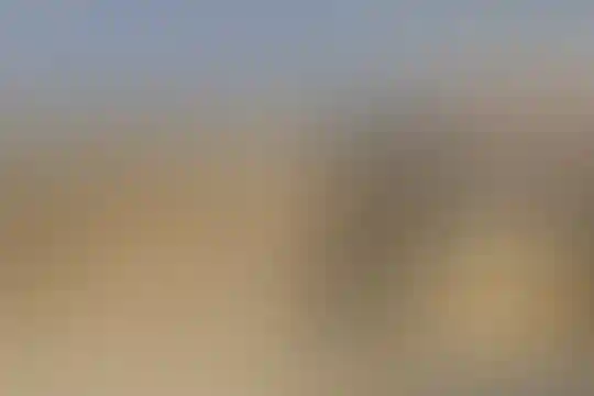 سیدالشهداء