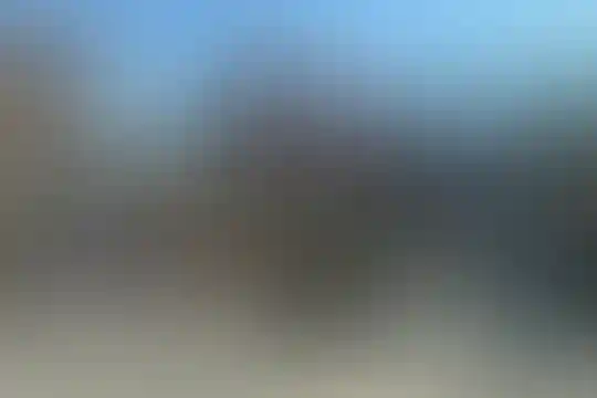 شهدای علم و فن آوری