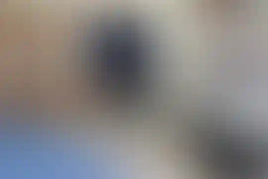 شهید حسین محمدی