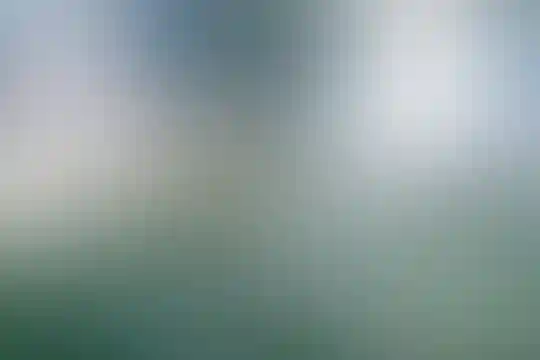 شهید حسین محمدی