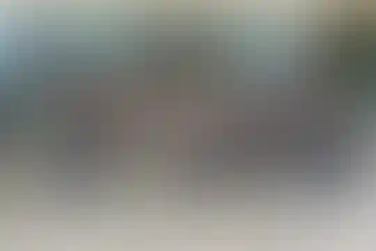 شهید دادمان 2