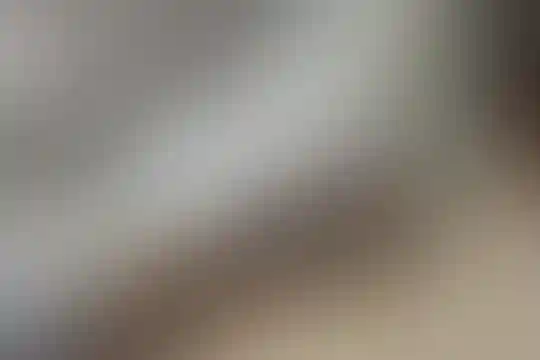 شهید بهشتی 2