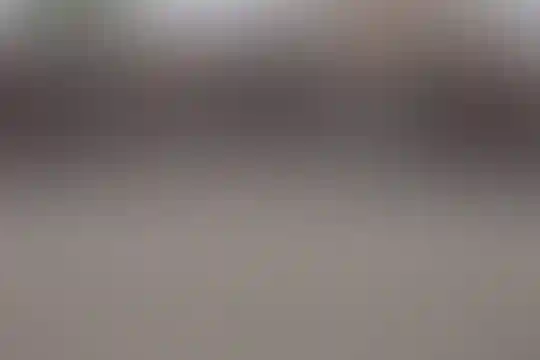 شهید بهشتی 2