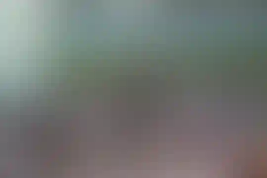 شهدای دیسمان و وطن