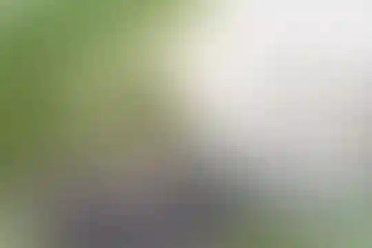نور