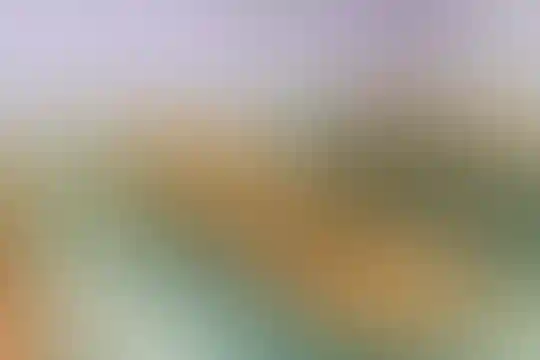 شهید صادقی