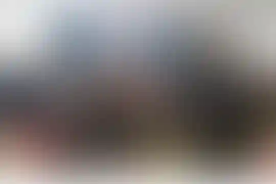 فرزانگان امین 2