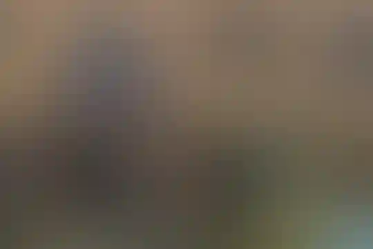 قاسم بن الحسن