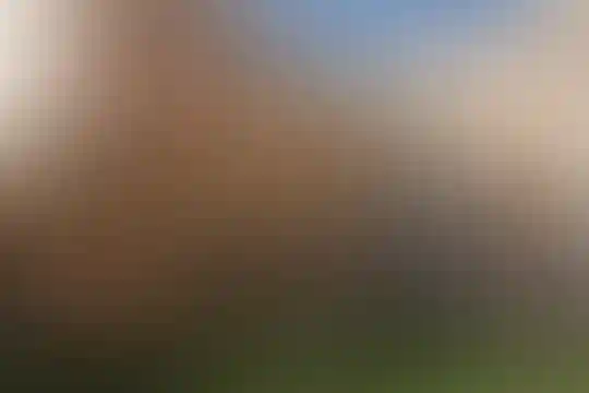 علم و زندگی