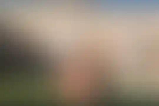 علم و زندگی