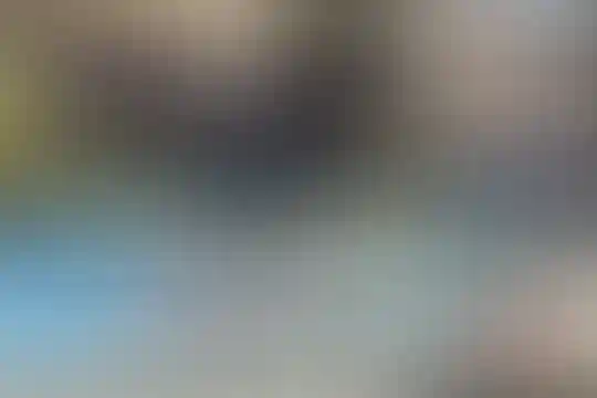 بحارالعلوم