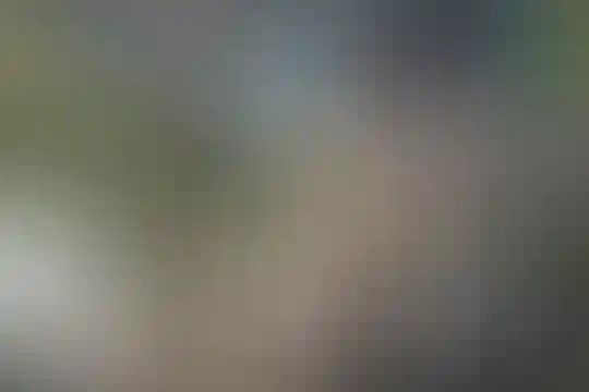 ماندگار امام صادق