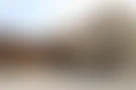 شیخ صدوق