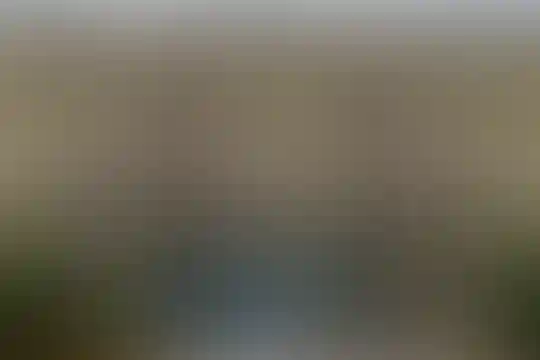 سعدی