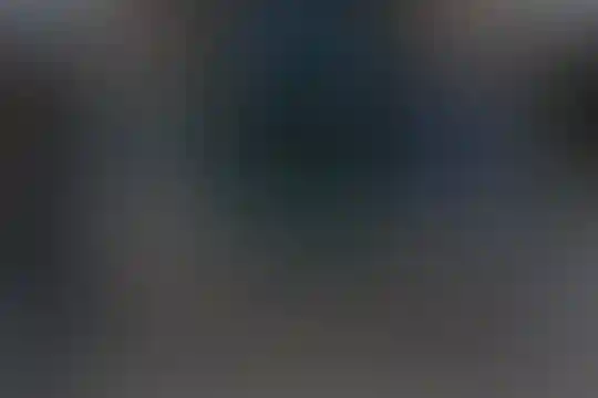 شیخ زاده هراتی