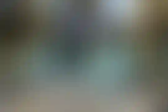 شیخ زاده هراتی