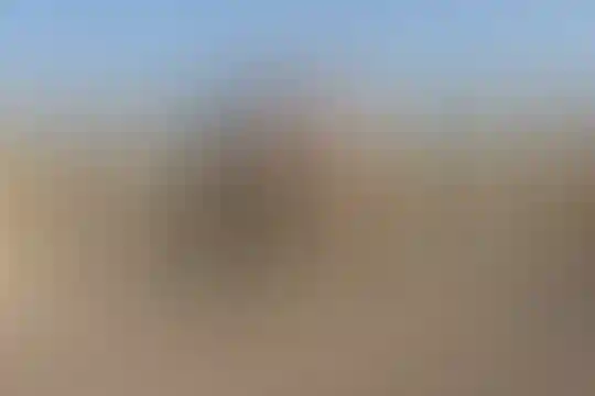 شهید فهمیده