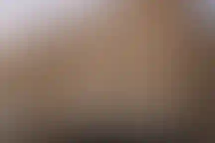 ماندگار فردوسی