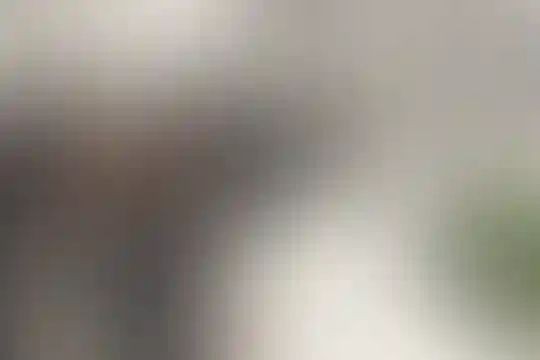 ایوب نصیر زاده