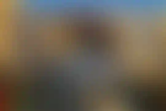 علامه حلی