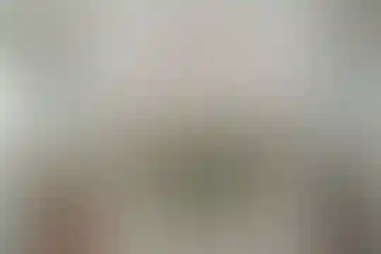 حضرت محمد (مصلی نژاد)