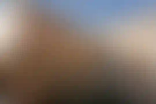 علم و زندگی