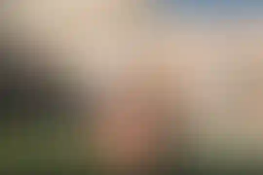 علم و زندگی