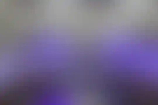 سعدی