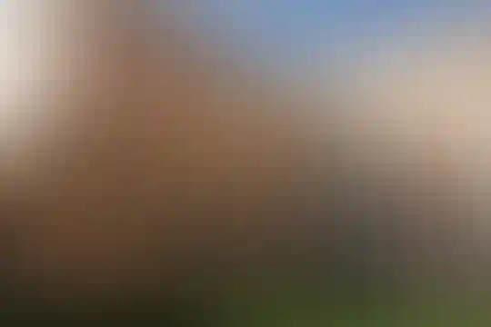 علم و زندگی