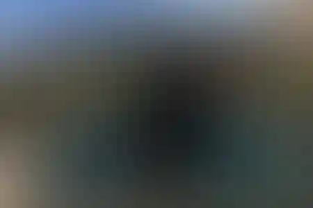 رحمت