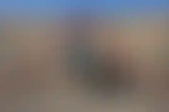 شهید هاشمی نژاد 4