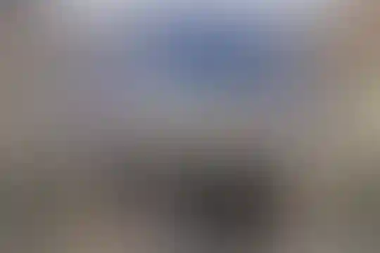 شهید هاشمی نژاد 4