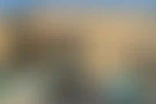 شهید هاشمی نژاد