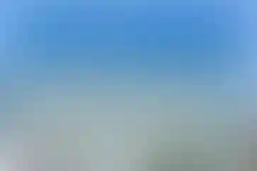 اردکانی