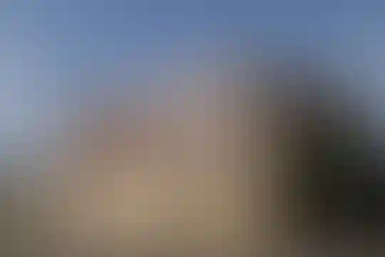 آرمینه مصلی نژاد