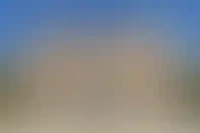 دارالفنون