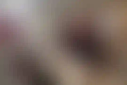 جابر بن حیان