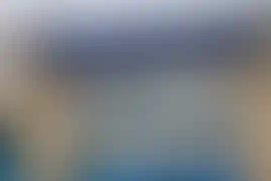 حاج سالار مفیدی